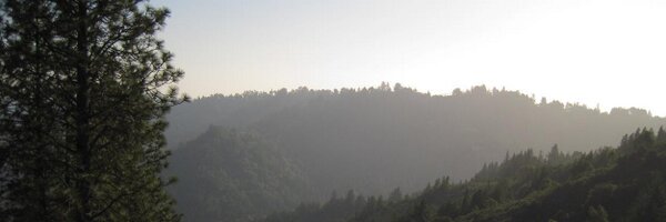 Flaviaesteves Profile Banner