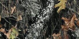 cbritt131's profile banner image