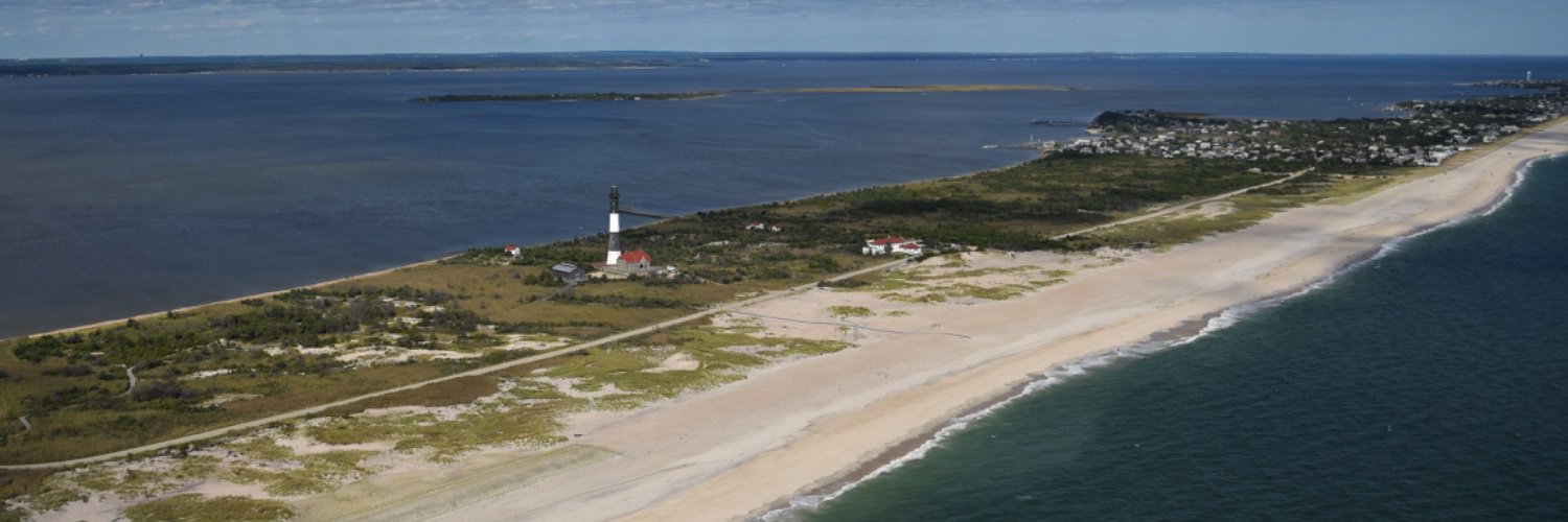 Pam in the Library banner
