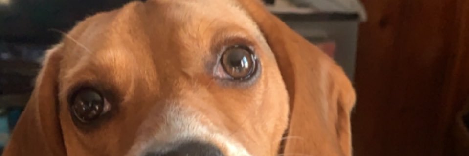 Emily Tredway banner