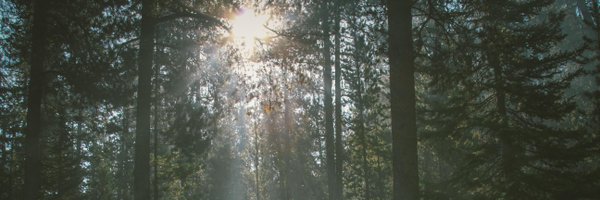 EdPlotts Profile Banner