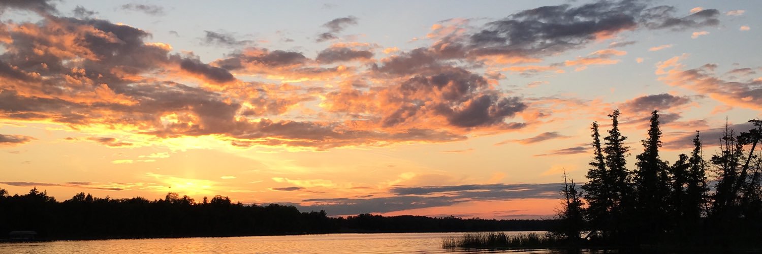stephtikkanen's profile banner image