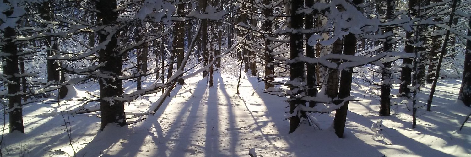 larry macdonald banner