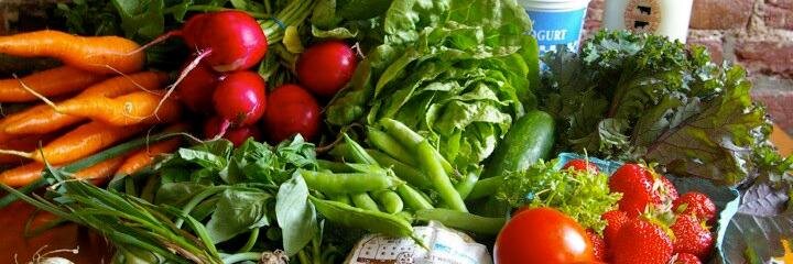 Springer Food banner