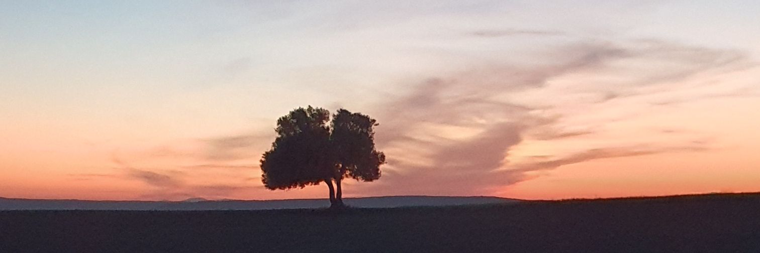 EsrafK's profile banner image