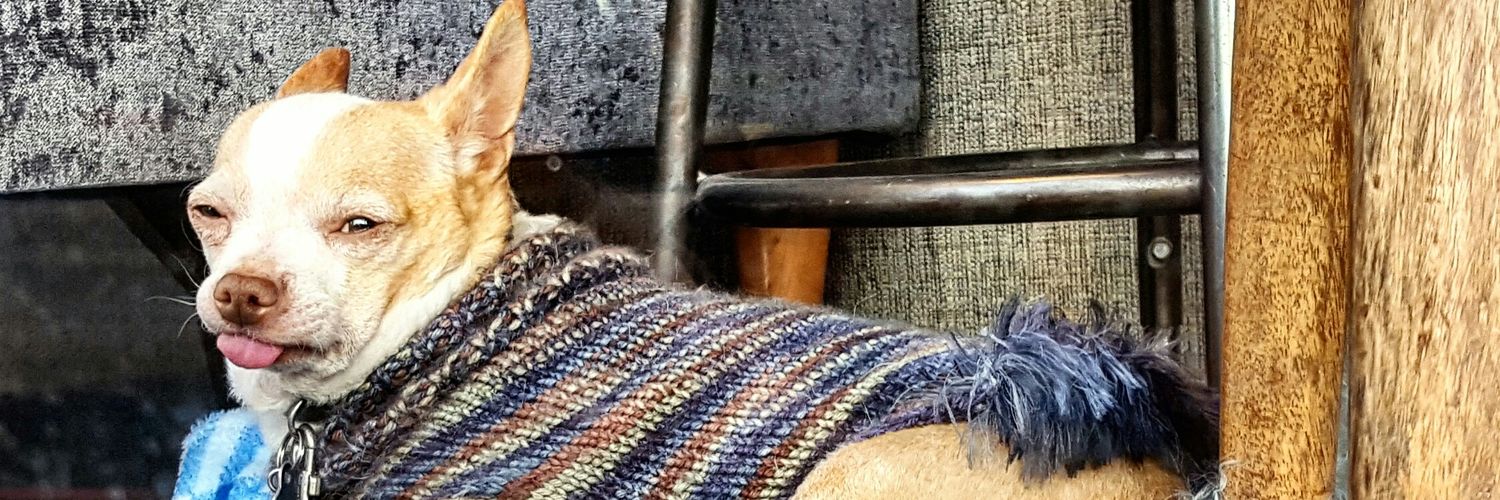 TheKFish1's profile banner image