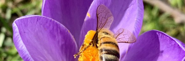 ugasser Profile Banner