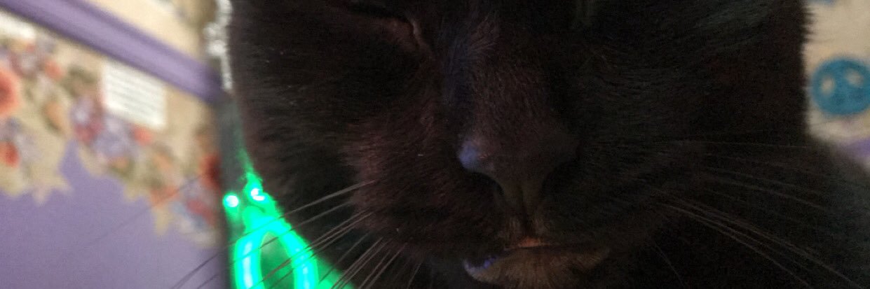ZombiePandah's profile banner image