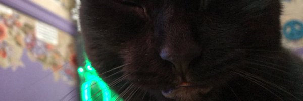 ZombiePandah Profile Banner