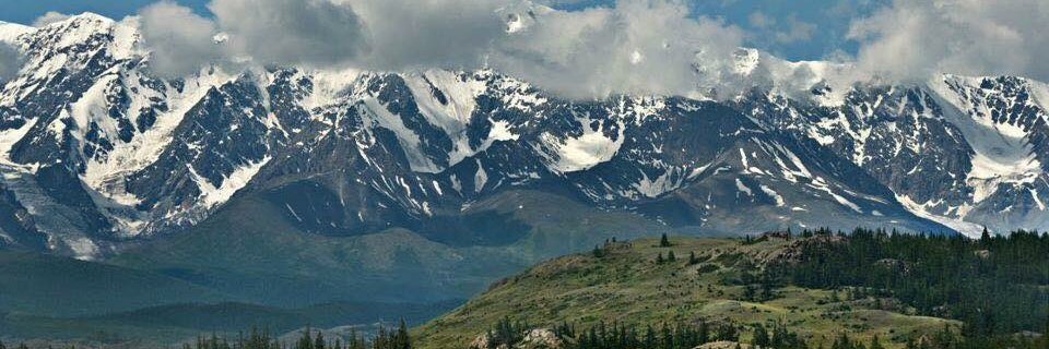 Cengiz Temuralp banner