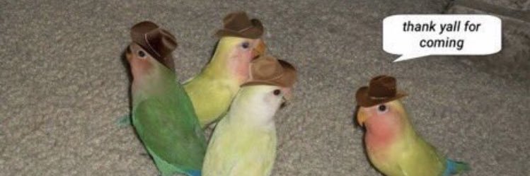 Shes_Hopeless's profile banner image