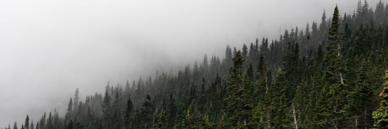 caylabc444's profile banner image
