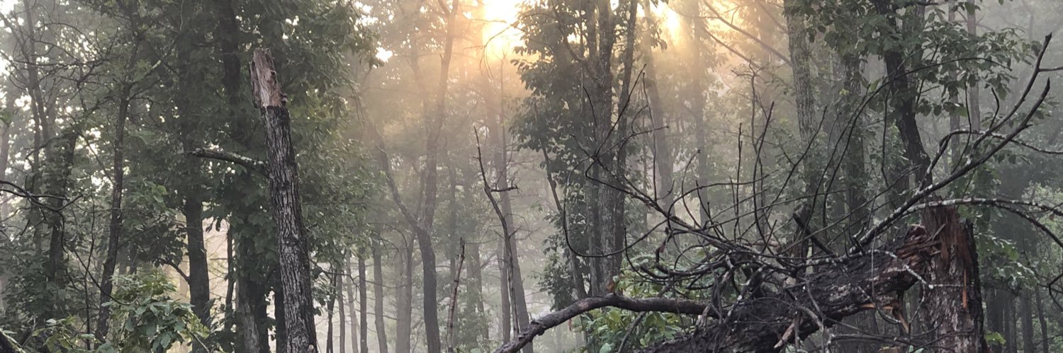 uhmmarkwho's profile banner image