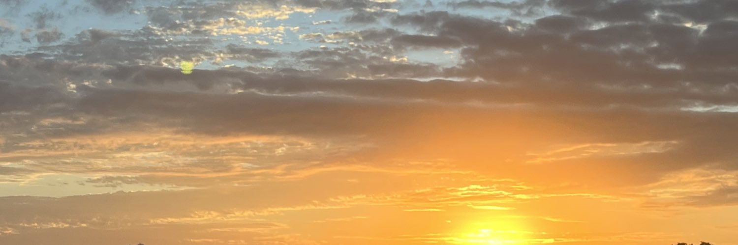 ashma_jay's profile banner image