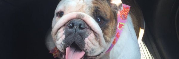 VicMac123 Profile Banner