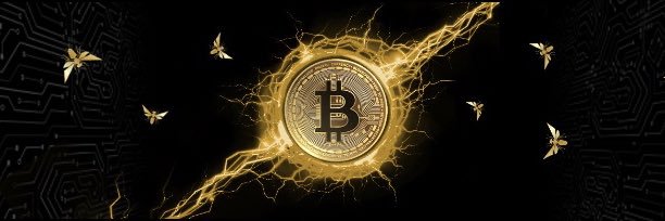 The Dago HODLer ⚡️ banner