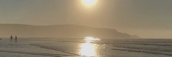 Waltzaroo Profile Banner