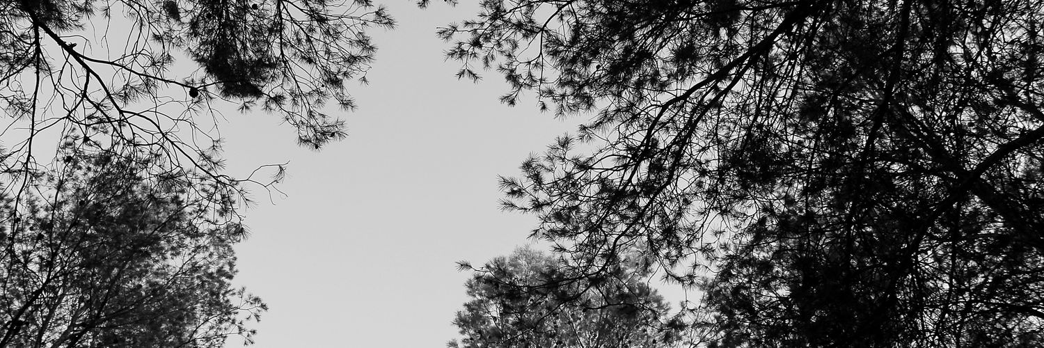 Esteve_Alba's profile banner image
