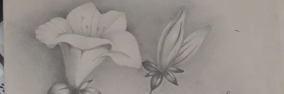 galubaia's profile banner image