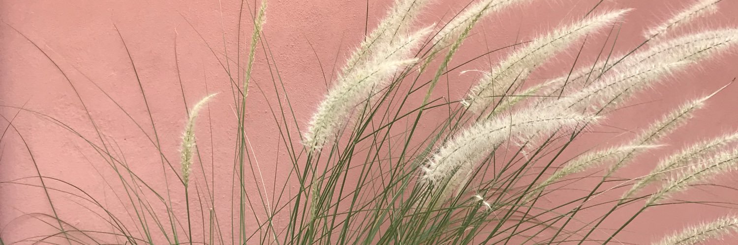 Medha Agarwal banner