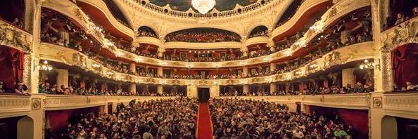 Foster ✌🏻 banner