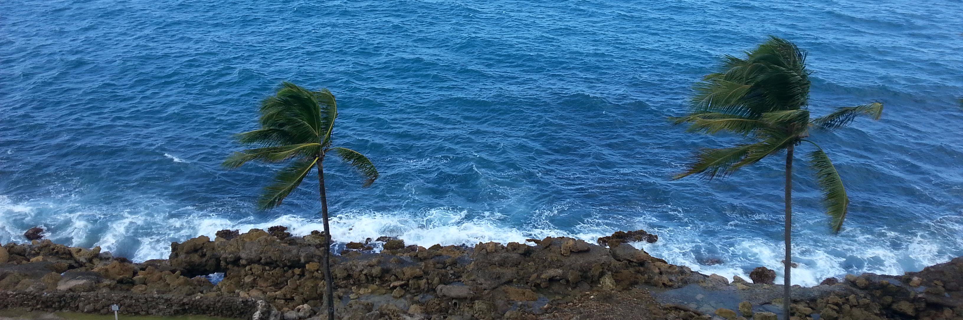 falegre's profile banner image