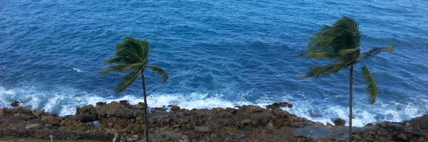 falegre Profile Banner