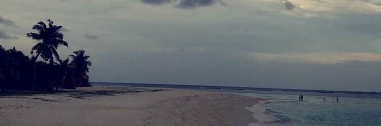 BayanAlAbdullah's profile banner image