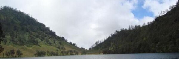 respati_ok Profile Banner