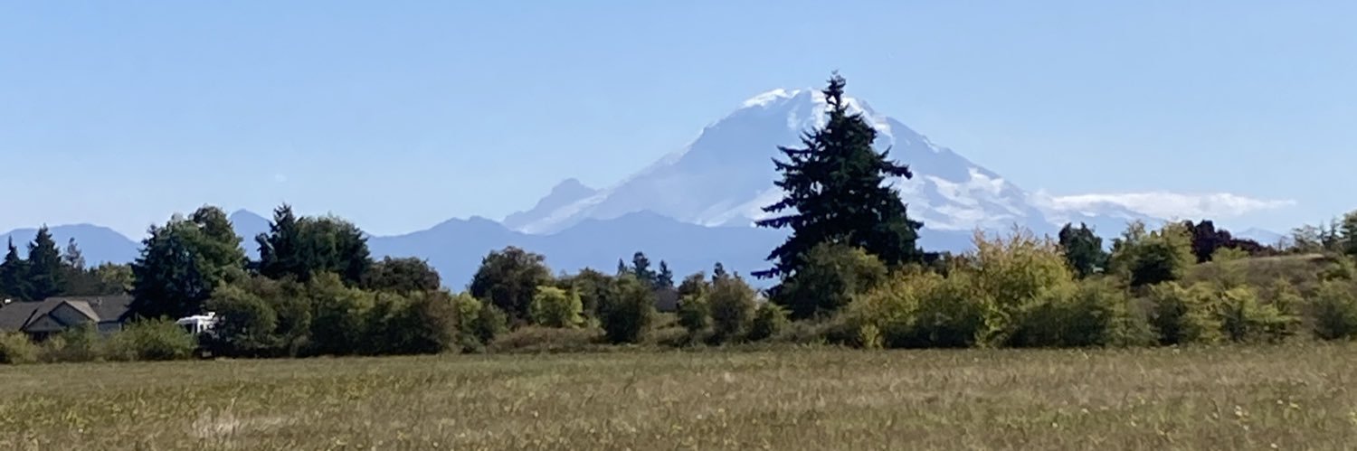 TaliBraun's profile banner image