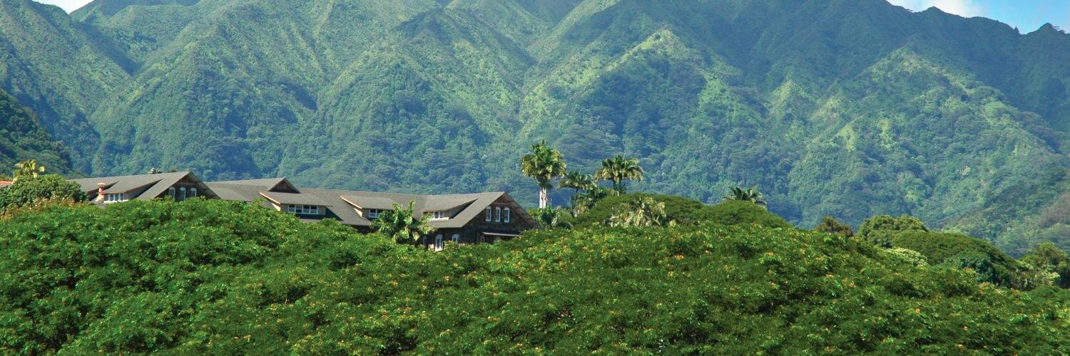 Paul Turnbull banner