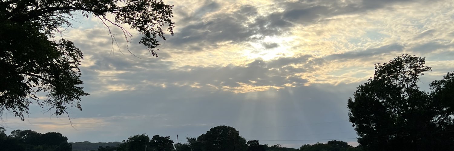 JerricaRobison's profile banner image