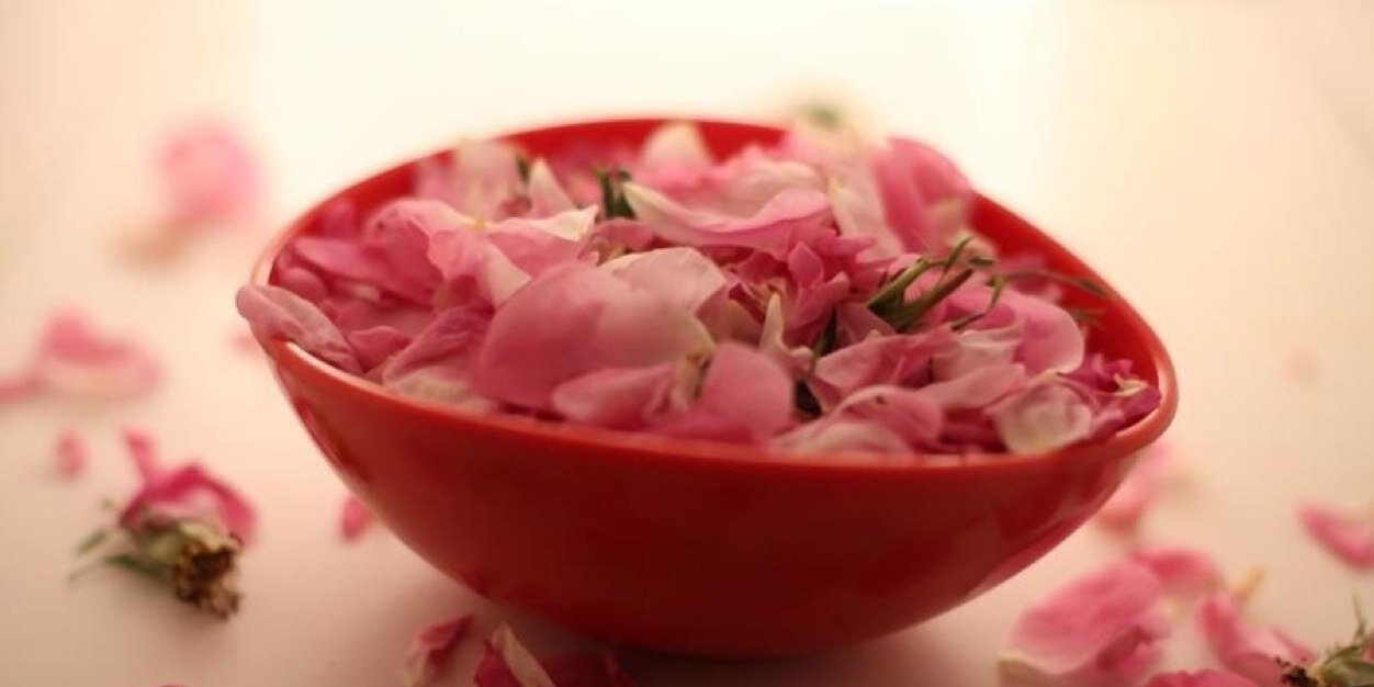 54_alamal's profile banner image