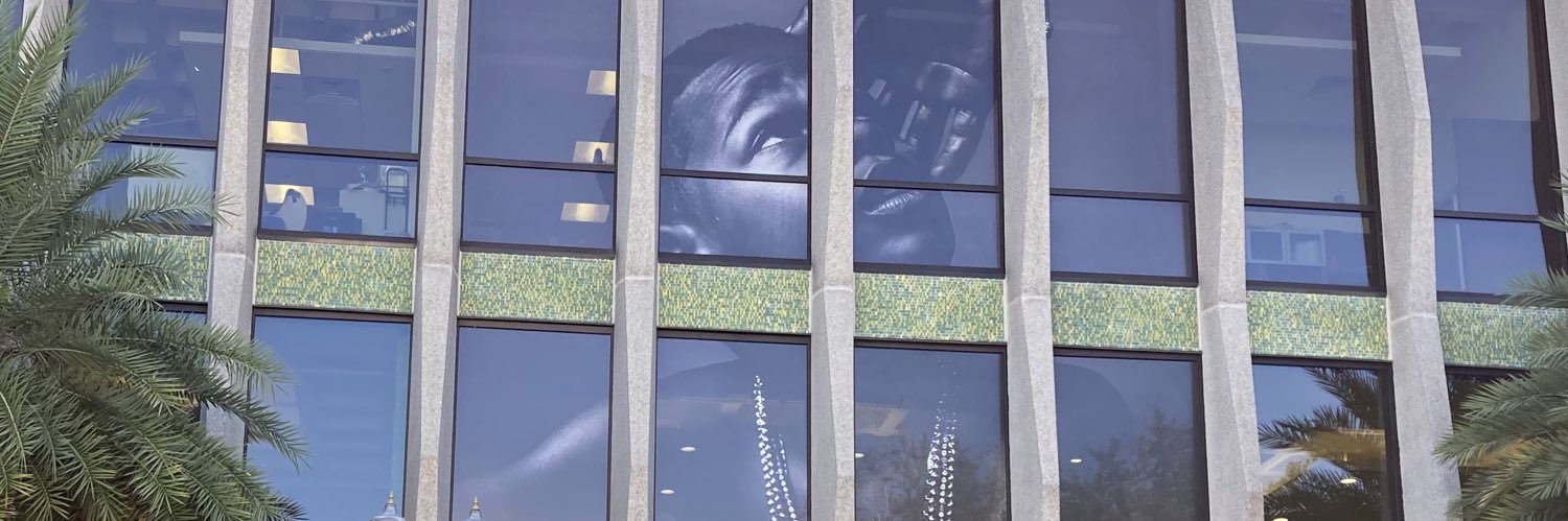 Mari Kuraishi banner