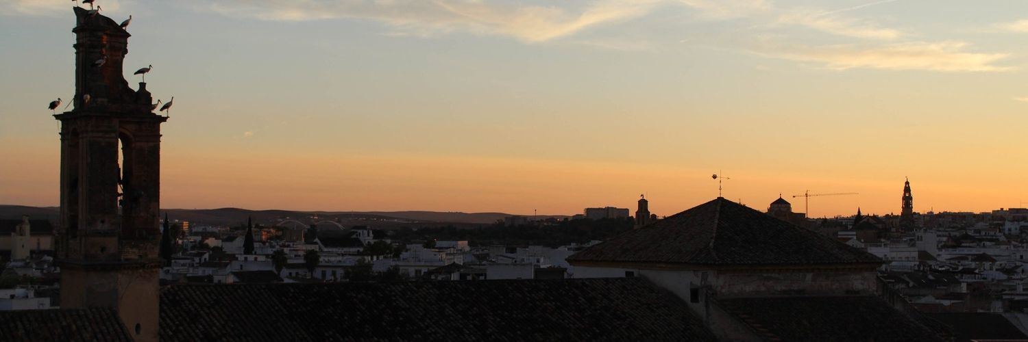 alvarovera13's profile banner image