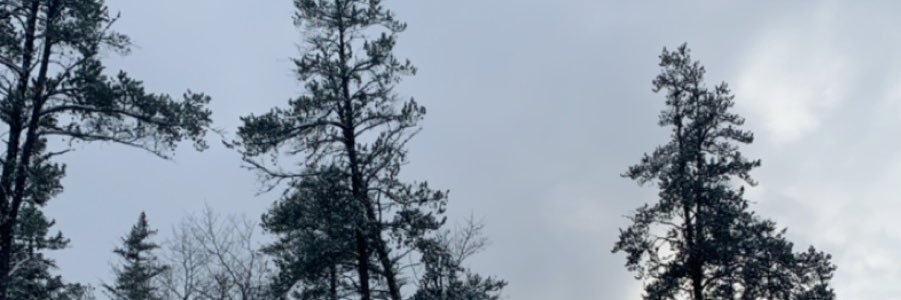 rdaf_'s profile banner image