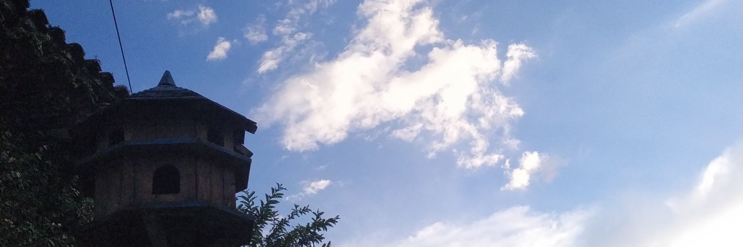 dilu12_'s profile banner image