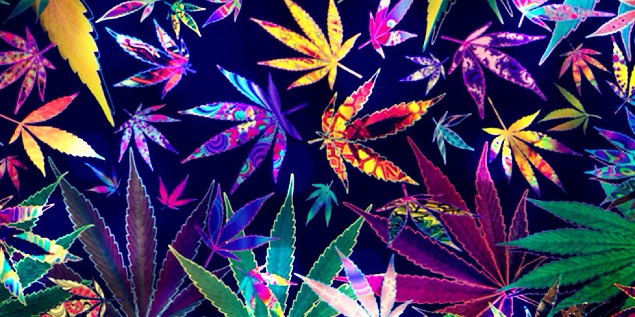 AllyssaPayne's profile banner image