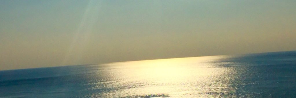 allipinello's profile banner image