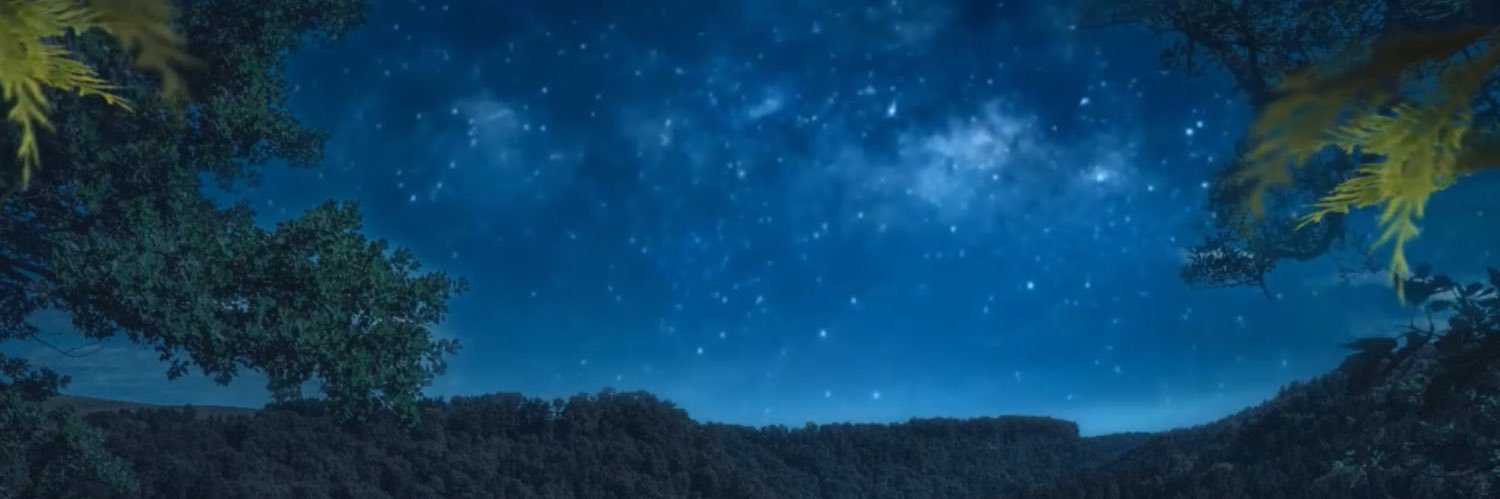 PrincessFiahh's profile banner image