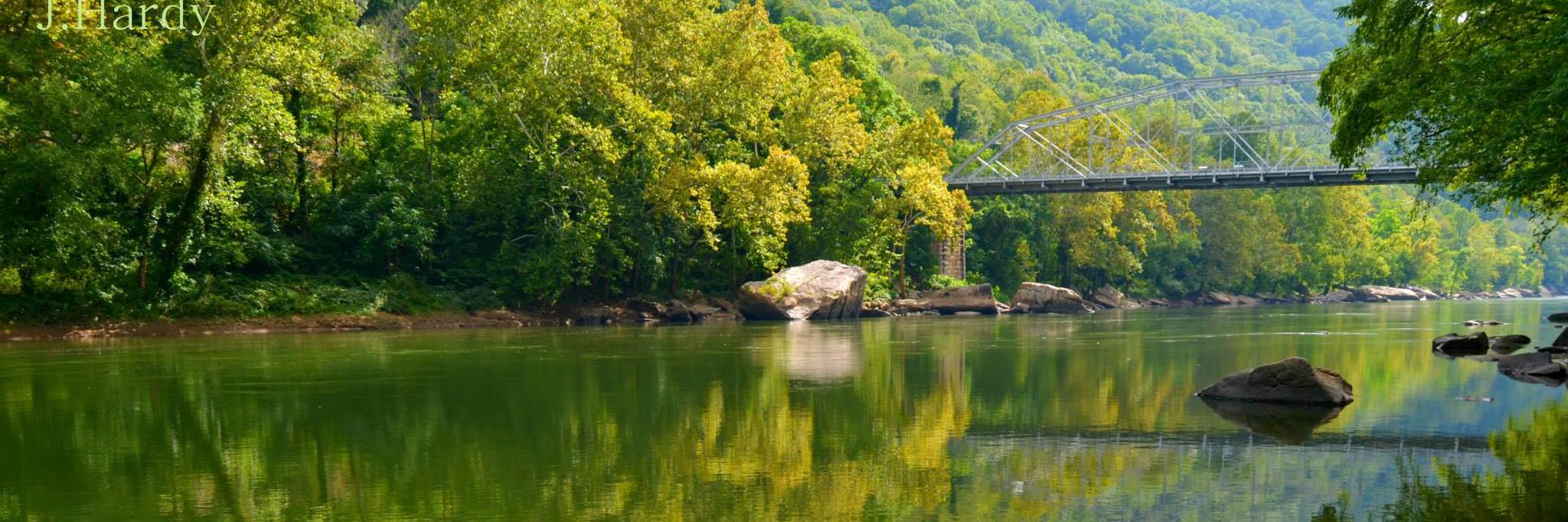 4Fayette's profile banner image