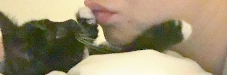 MissD_xo's profile banner image