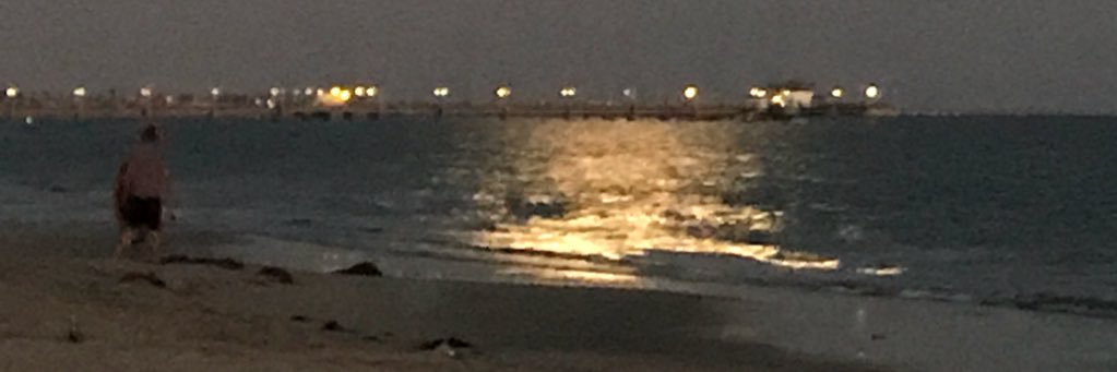 20surf11's profile banner image