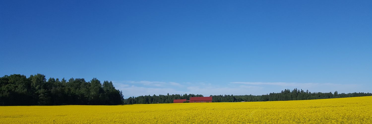 Sarcasin's profile banner image