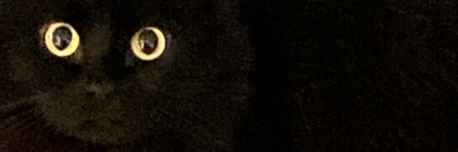 blobject🧚🏽‍♀️ banner