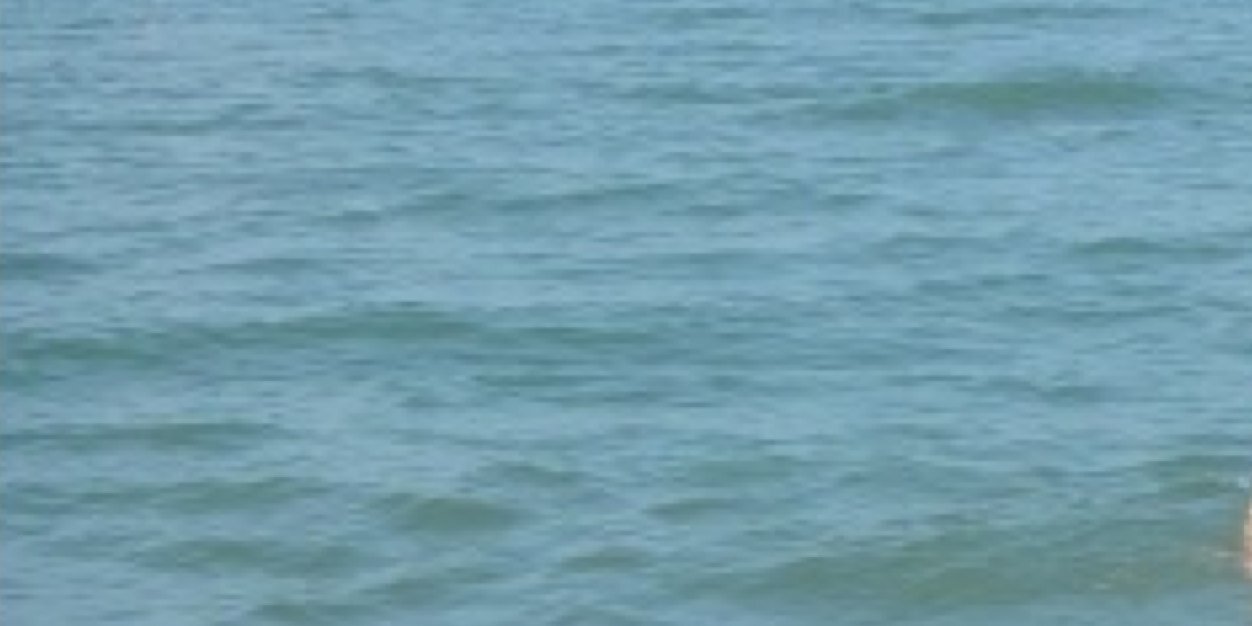 Doremifisol's profile banner image