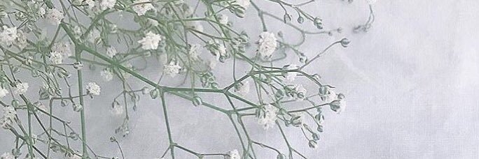 asm_____19's profile banner image