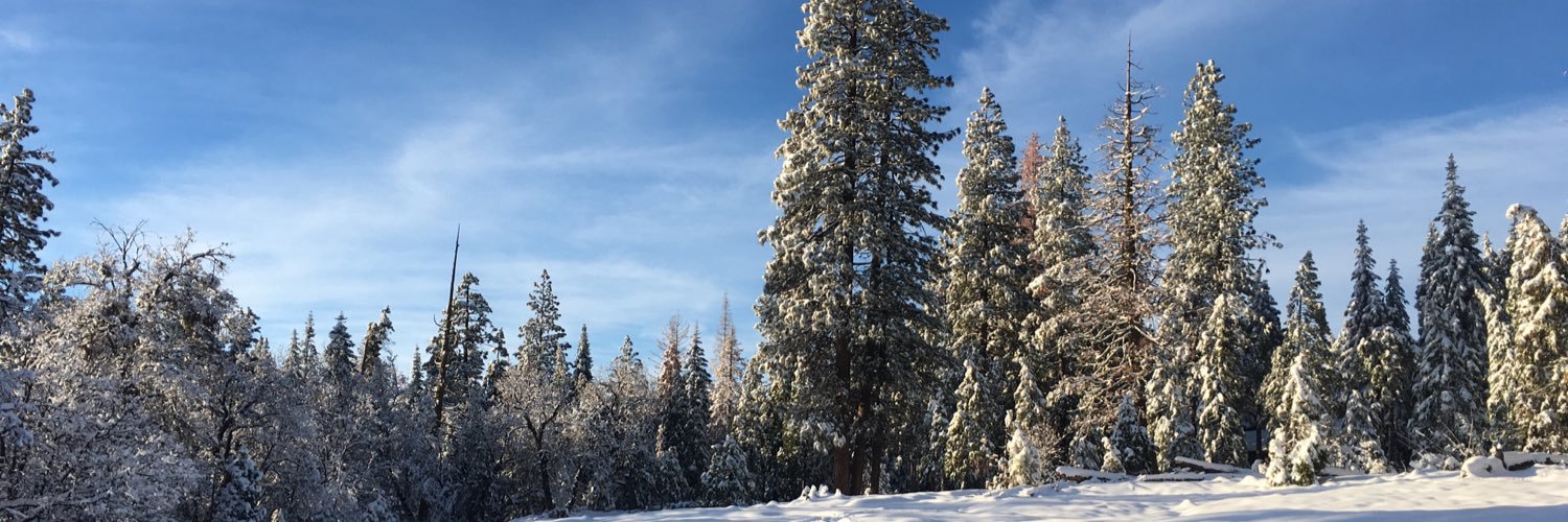 TylerInCali's profile banner image