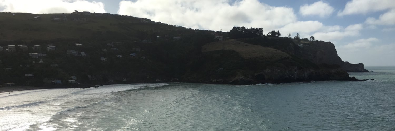 Mike Phillips banner