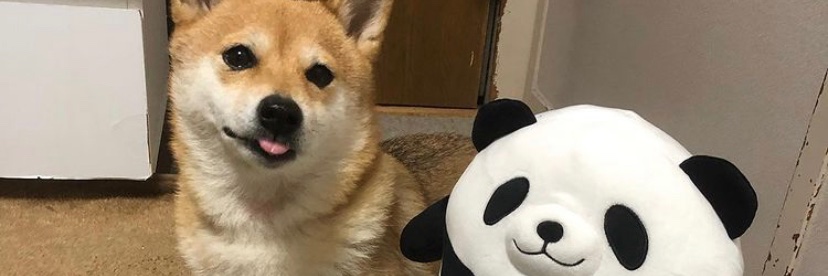 jviscake's profile banner image